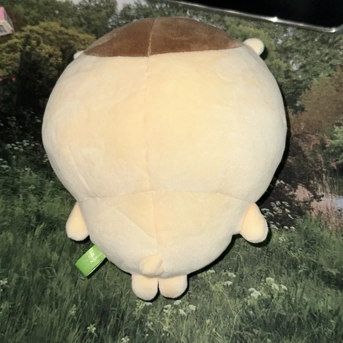 쿠리만쥬 모찌 누이 20cm 인형 밤만쥬 치이카와 먼작귀