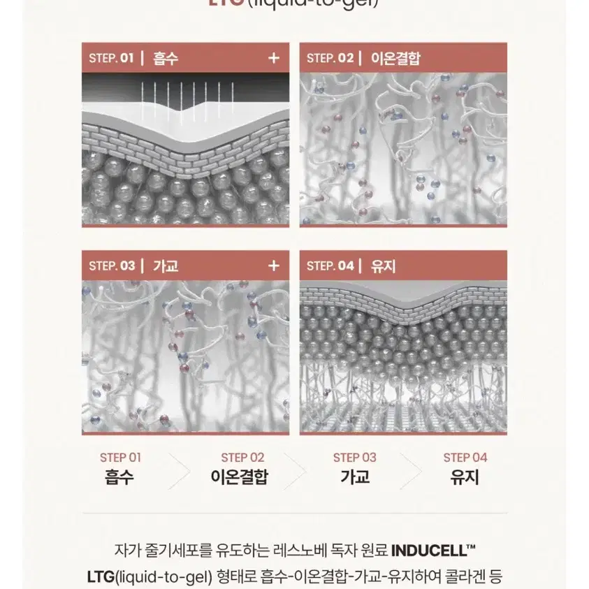 레스노베 플랜 톡스 리프팅 앰플 15ml 안티에이징 모공 탄력