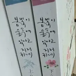 봄빛이숲속에있다고지저귀네(상,하)