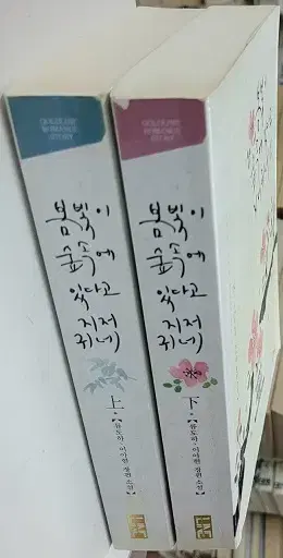 봄빛이숲속에있다고지저귀네(상,하)