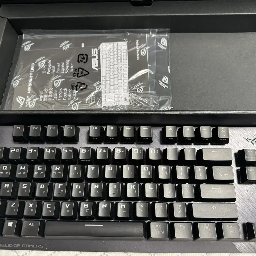 asus rog strix scope tkl 갈축(윤활)