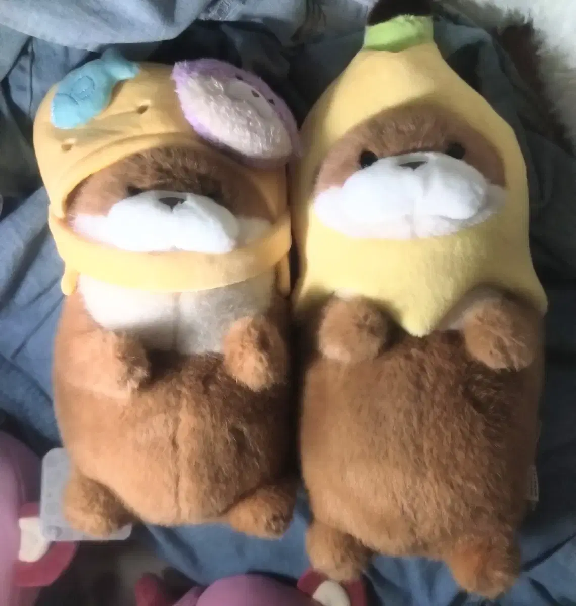 UsoUsoChan_Banana,DisneyRatsoBear in Shoes1