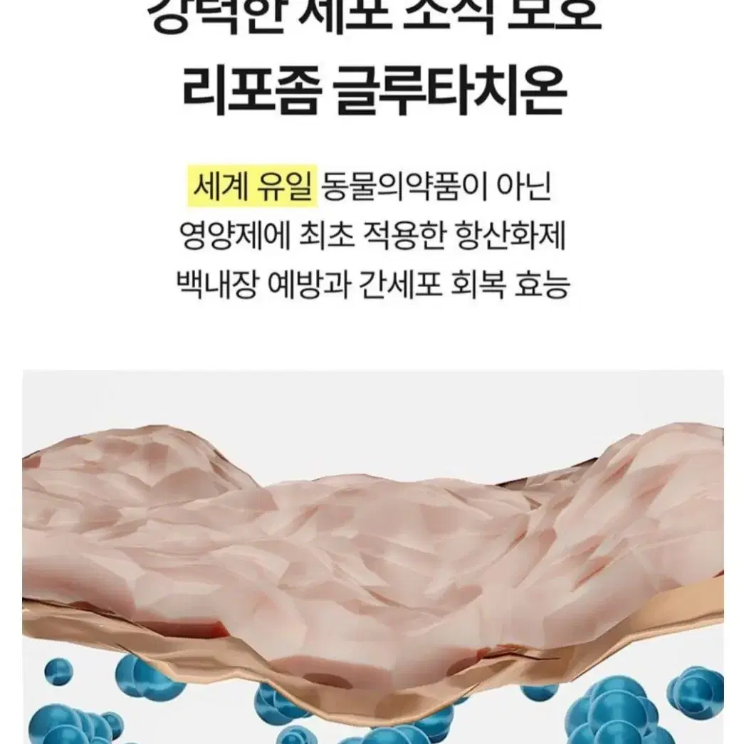 고양이 눈 간 건강 영양제