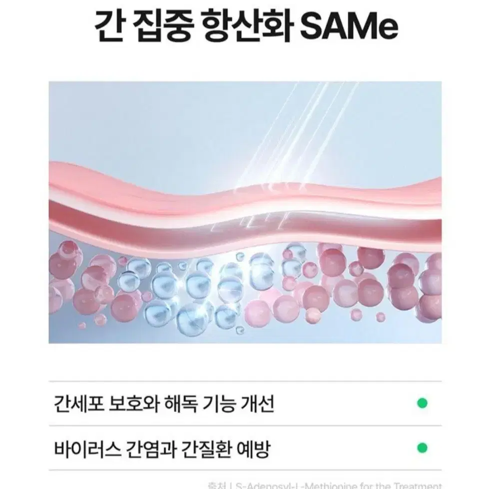 고양이 눈 간 건강 영양제