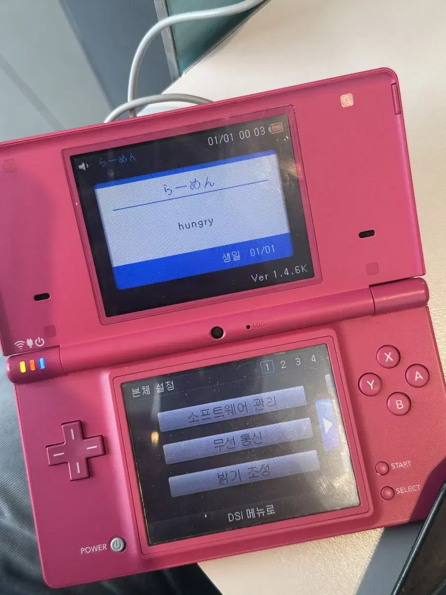 Nintendo DSi Pink