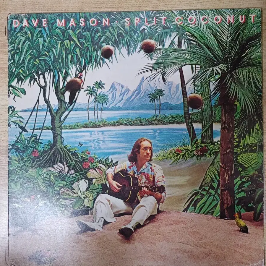 DAVE MASON 음반 s (LP 턴테이블 오디오 앰프