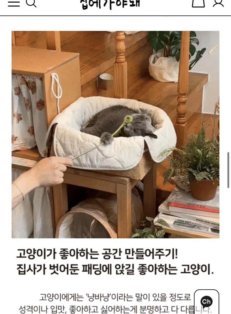 집에가야돼/브랜드/고양이바스켓/숨숨집/스크래처