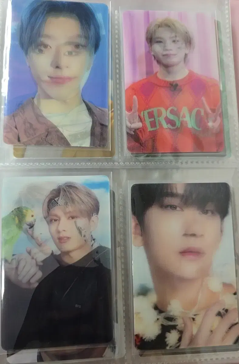 Seventeen hologram photocard in bulk