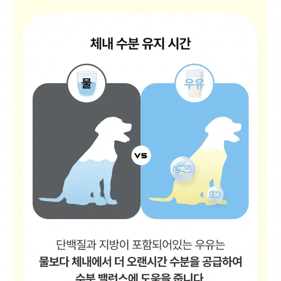 강아지 화식,우유,패드 세트(새상품)