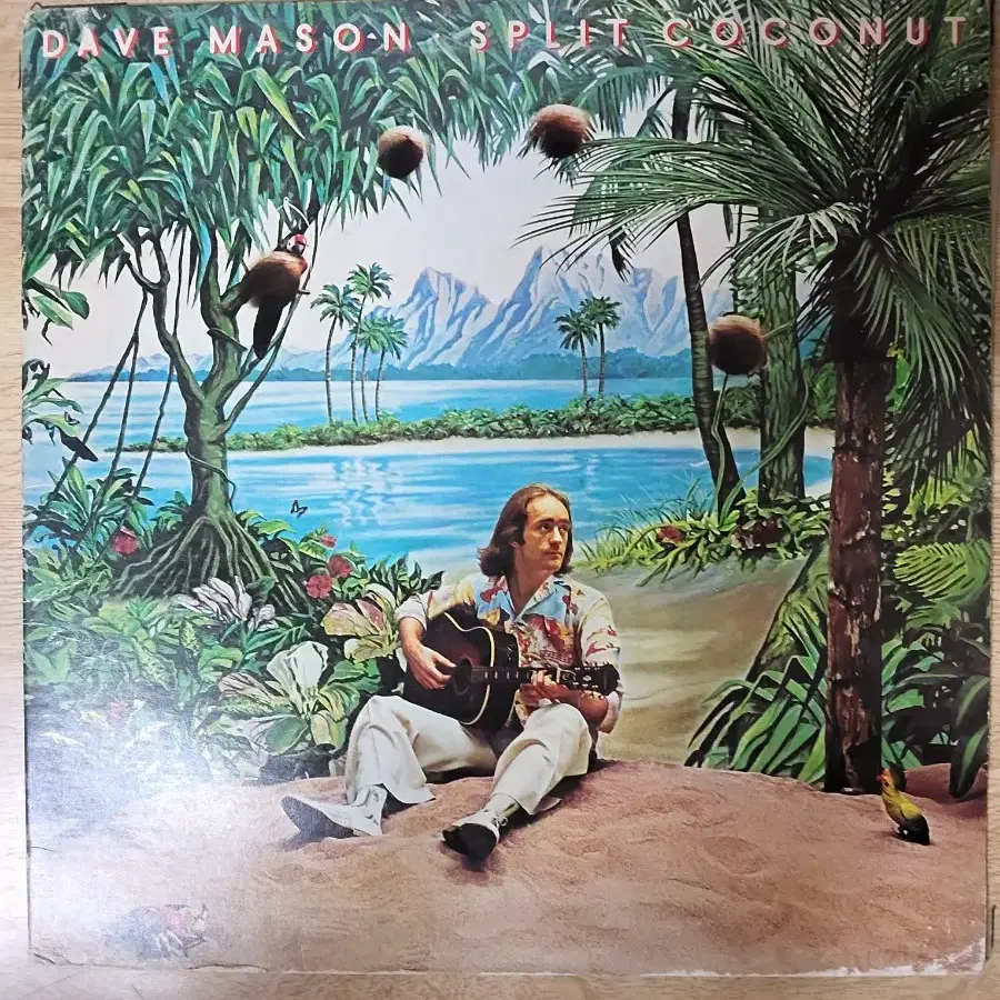 DAVE MASON 음반 s (LP 턴테이블 오디오 앰프