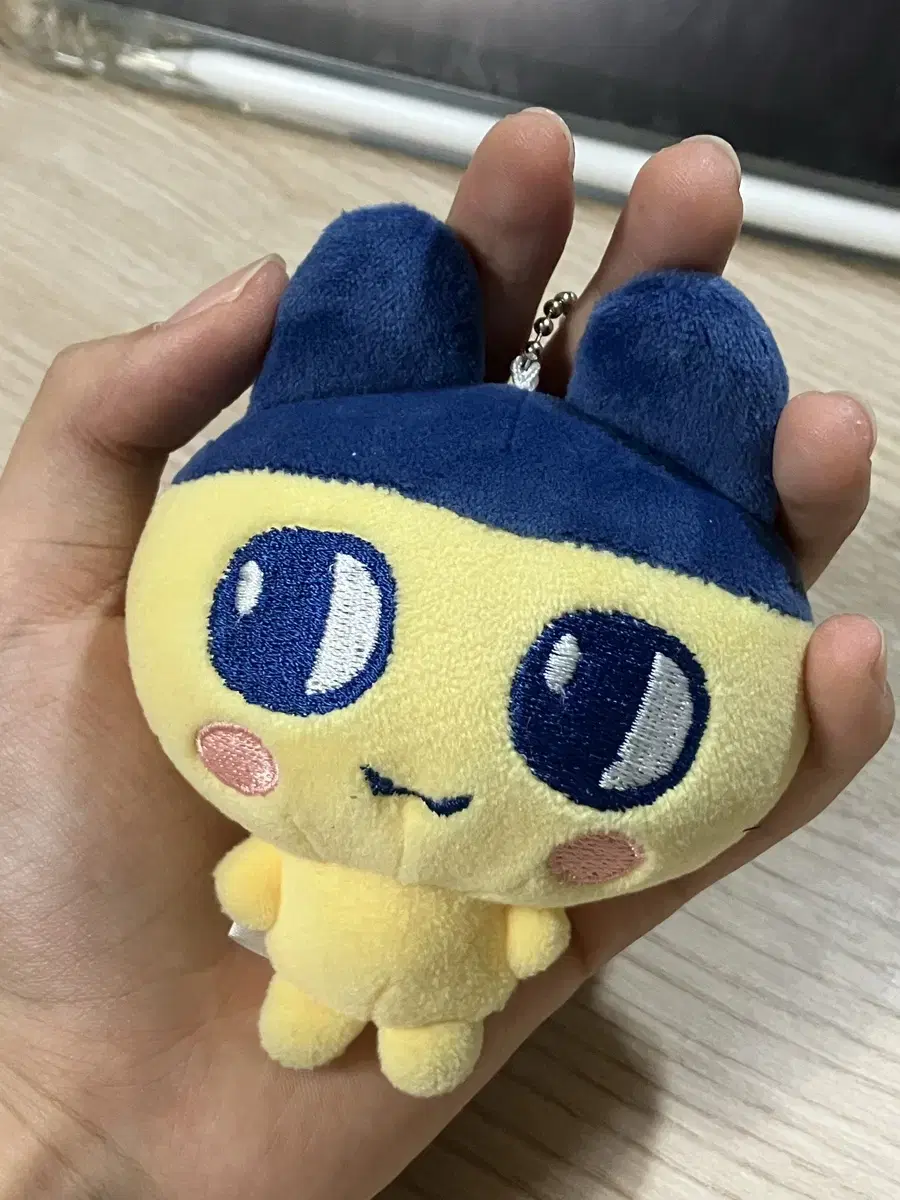 Oshion nct wish mamechi mimi zuu doll sell it