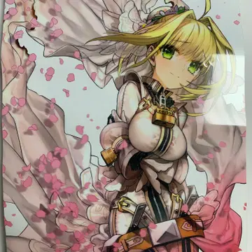 Fate/EXTRA CCC OP animation라비린스 박스(화집세트) | 브랜드 중고