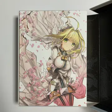 アニメ+ゲーム Fate/EXTRA CCC Labyrinth BOX s-l1200.jpg