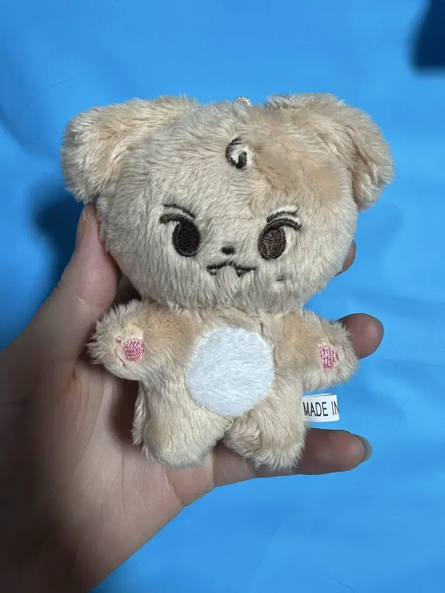 Mingfu seventeen is Mingyu's doll