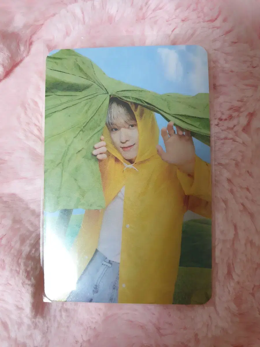 Savventine dino photocard