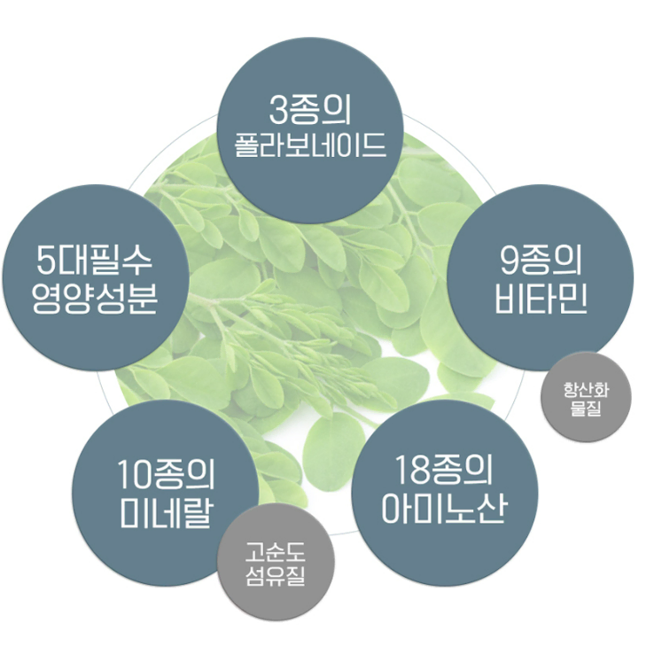 동남아 라오스 모링가잎 분말가루 250g 나트륨배출 당뇨 캠프롤 퀘르세틴