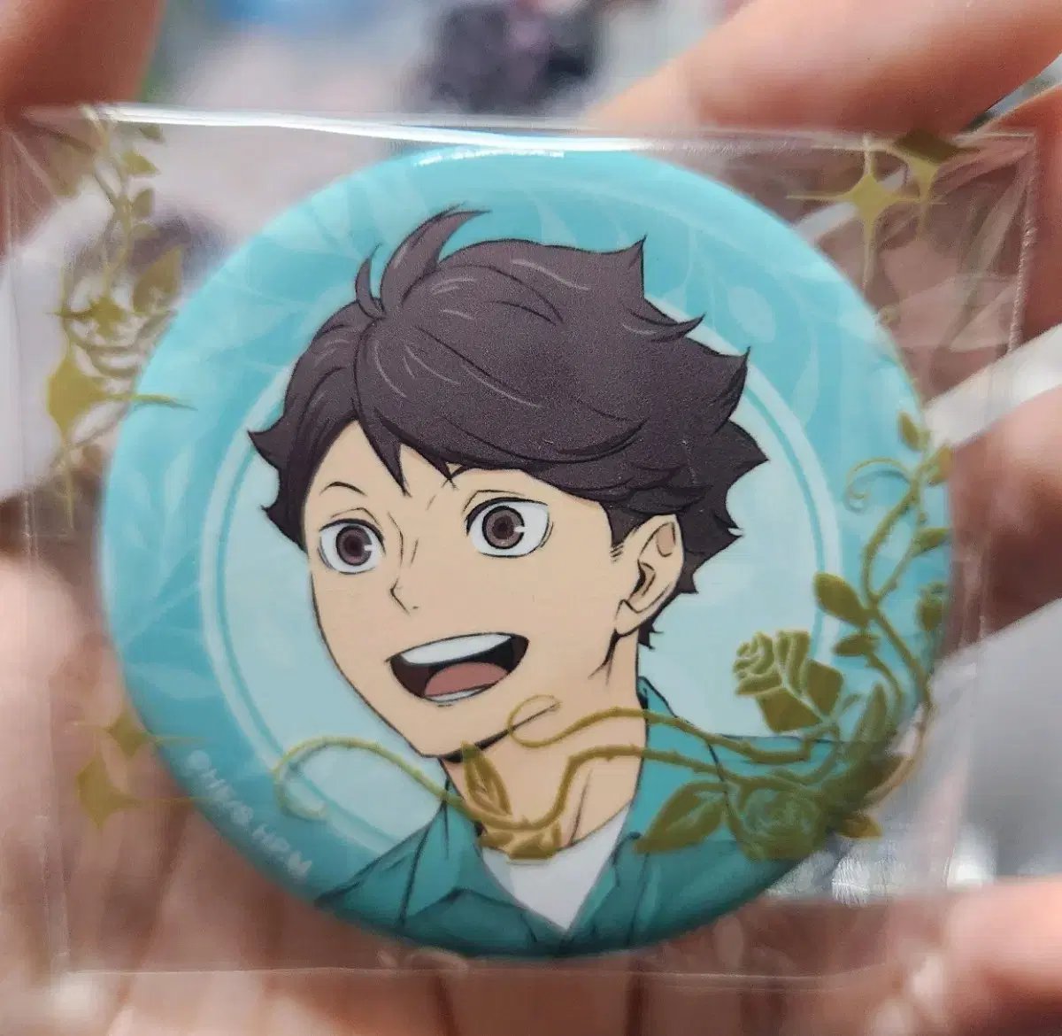 Haikyuu Oikawa Zoo Can Badge