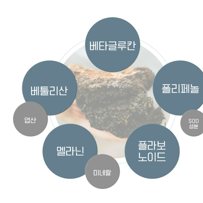 러시아산 자작나무 기생버섯 차가버섯분말 120g 플라보노이드 엽산 미네랄