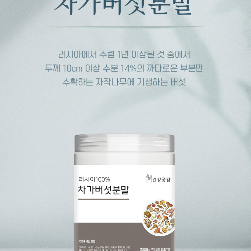 러시아산 자작나무 기생버섯 차가버섯분말 120g 플라보노이드 엽산 미네랄