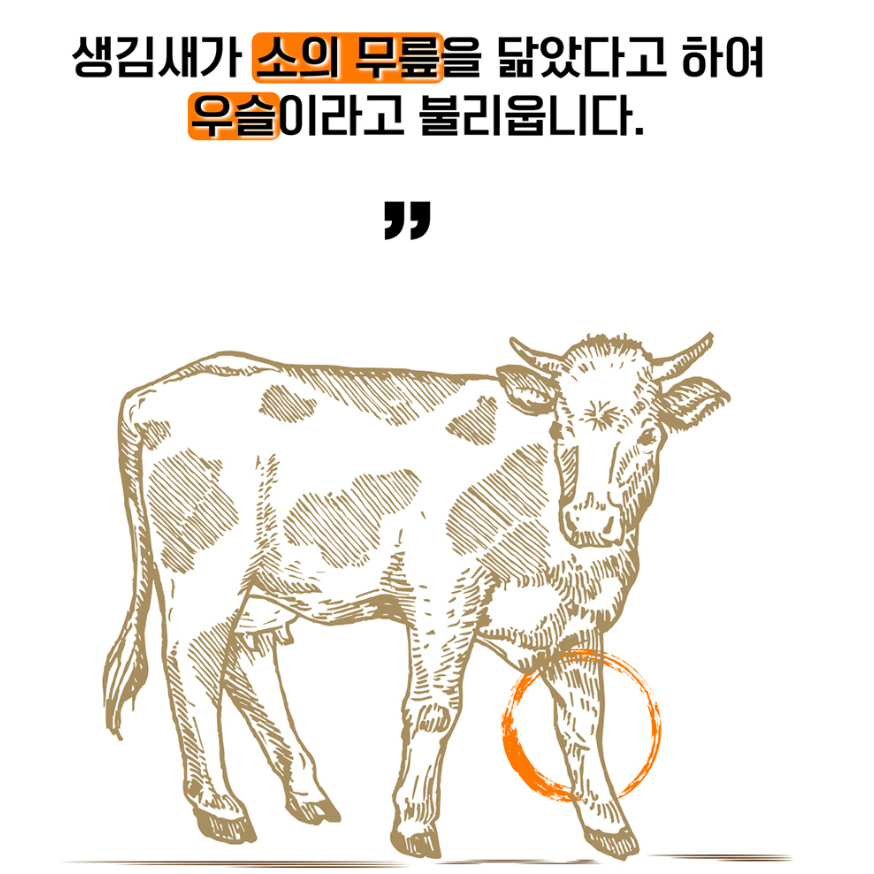 국내산 소무릎뿌리 우슬분말 300g 사포닌 베타인 에크디손