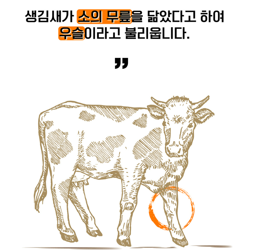 국내산 소무릎뿌리 우슬분말 300g 사포닌 베타인 에크디손