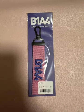 B1A4 랩 스트랩 곤장 버전