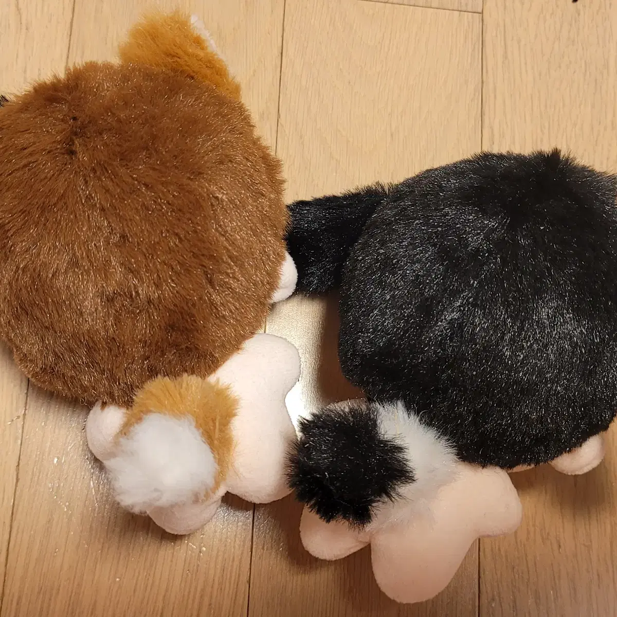 태섭대만 CP 10cm 중국제 인형