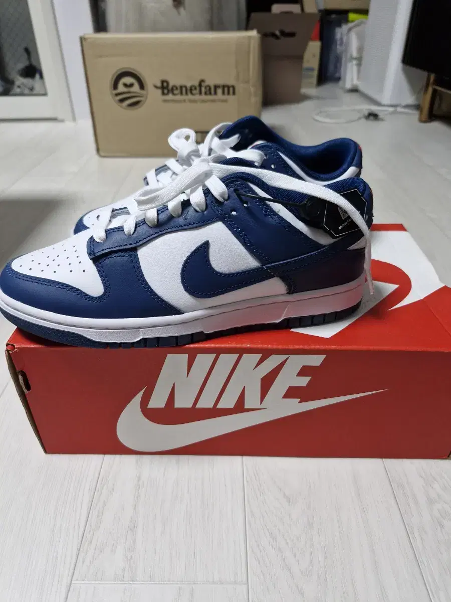 Nike Shoes for Sale Size 250 (Nike Dunk Low Retro Valerian Bloo)