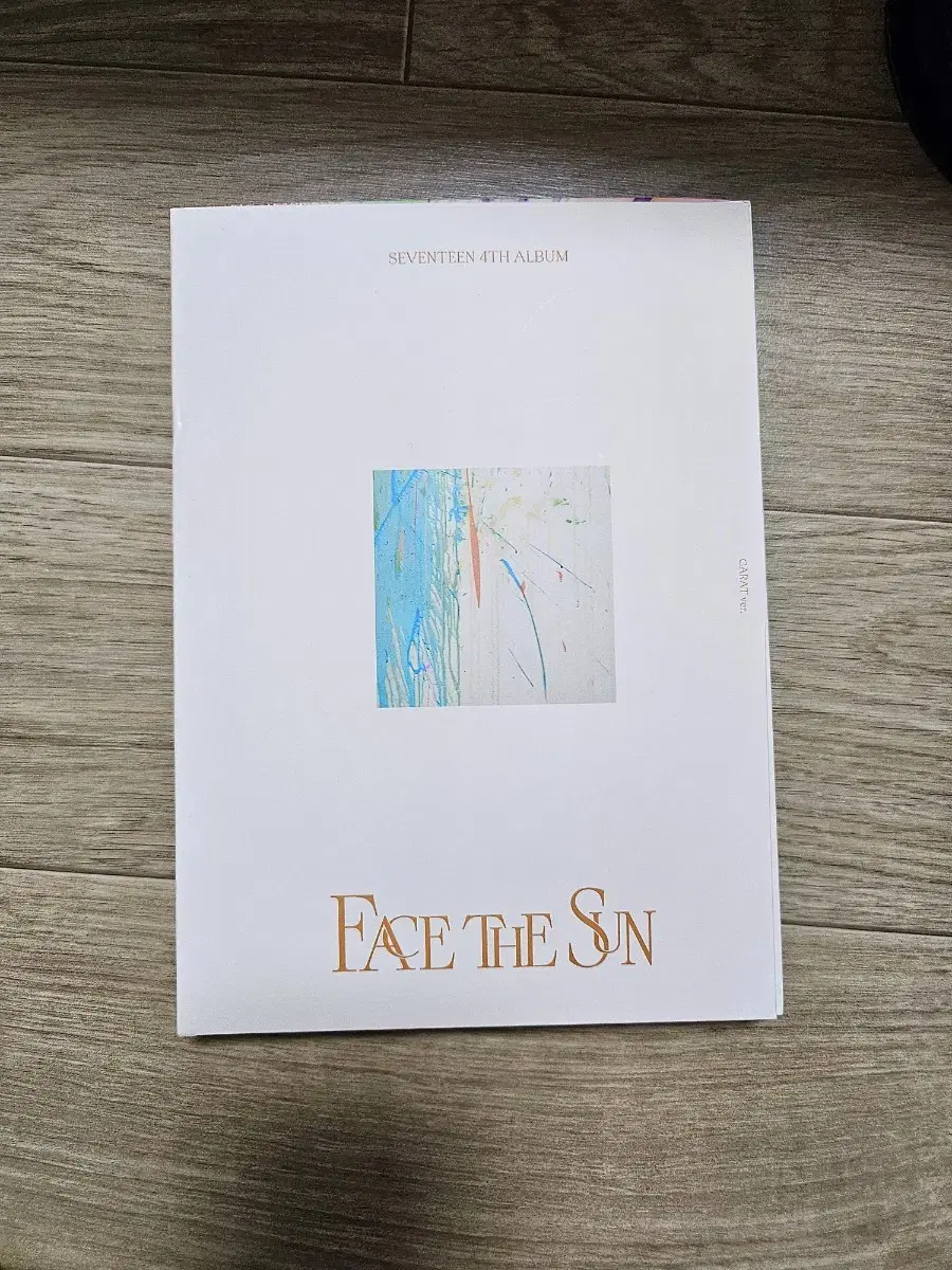 FACE  THE  SUN  캐럿반