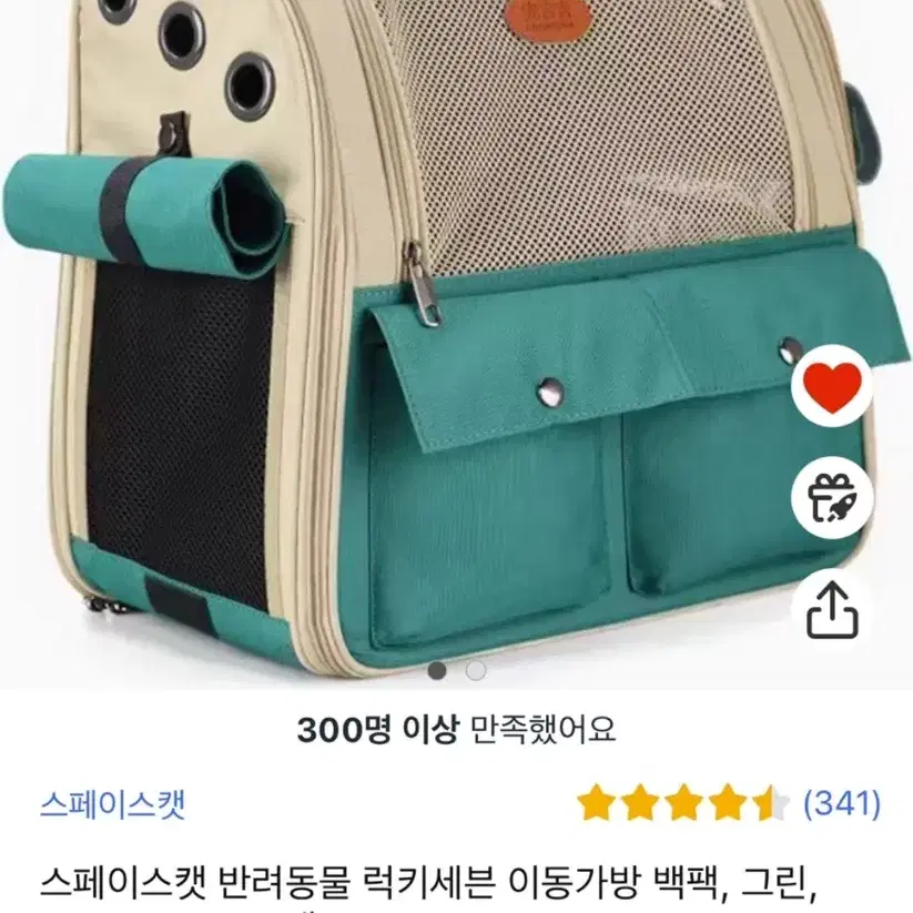 스페이스캣 반려동물 이동가방 백팩(그린)