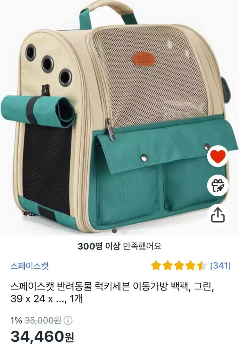 스페이스캣 반려동물 이동가방 백팩(그린)