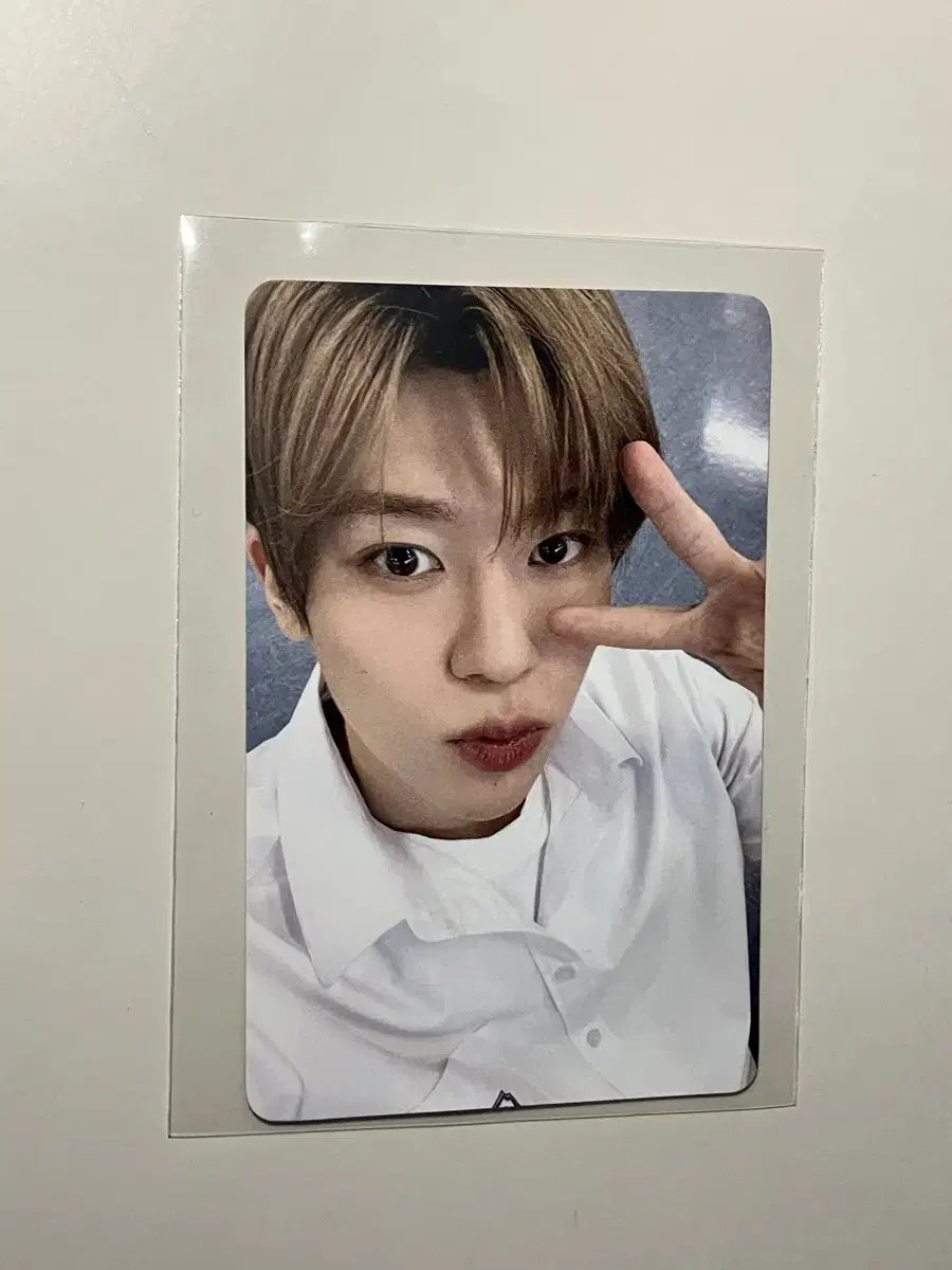 NCT wish sion School of Wish Photocard