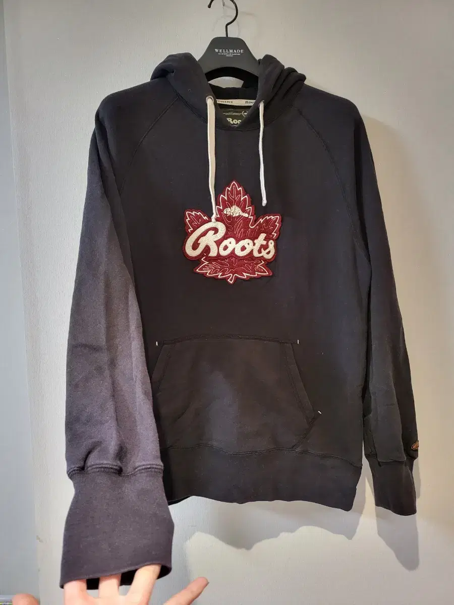 LEWS Men's Hoodie