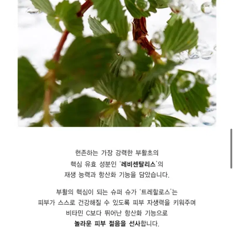 아르마니 크레마네라 에센스 스킨 미개봉 새상품