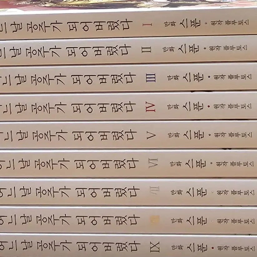 (택포) 어느날 공주가 되어버렸다 9권