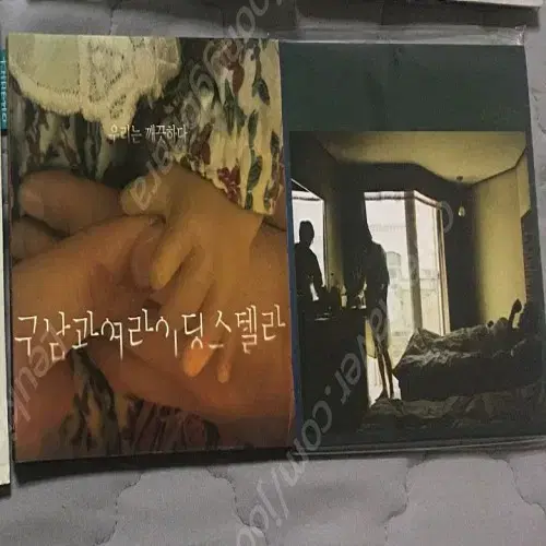 구남과여라이딩스텔라 1집 "우린 깨끗하다", 2집 "우정모텔" 앨범 판매