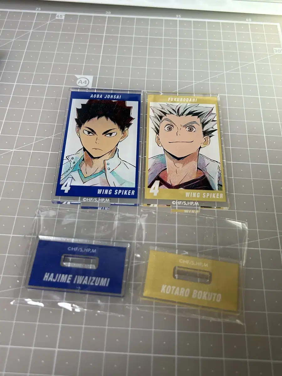 Haikyuu Animate acrylic Iwaizumi, Bokuto in bulk