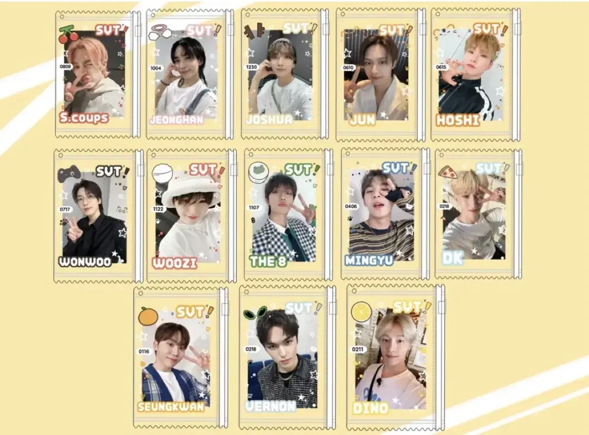 Seventeen Photocard Pouch (the8)