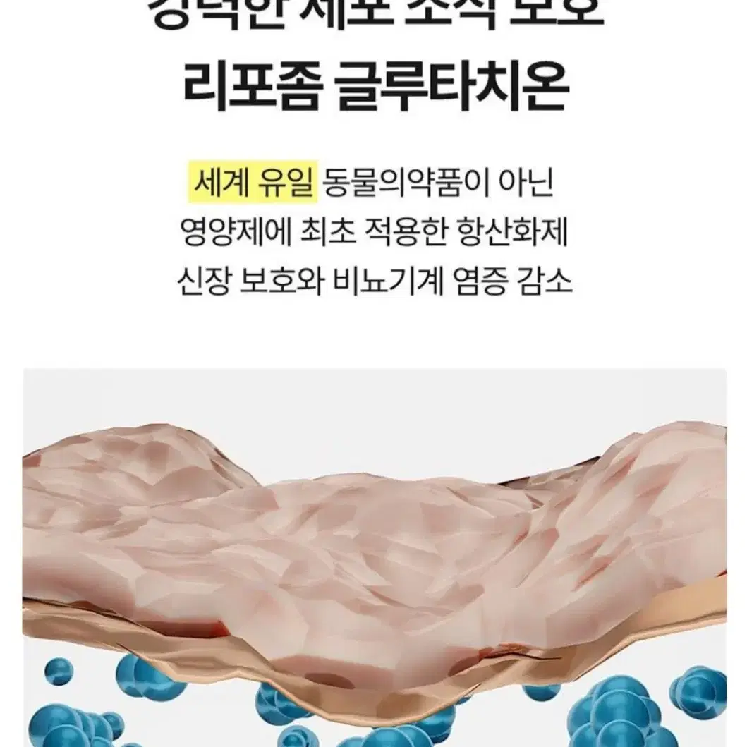 강아지 비뇨 배뇨 요로 신장 영양제