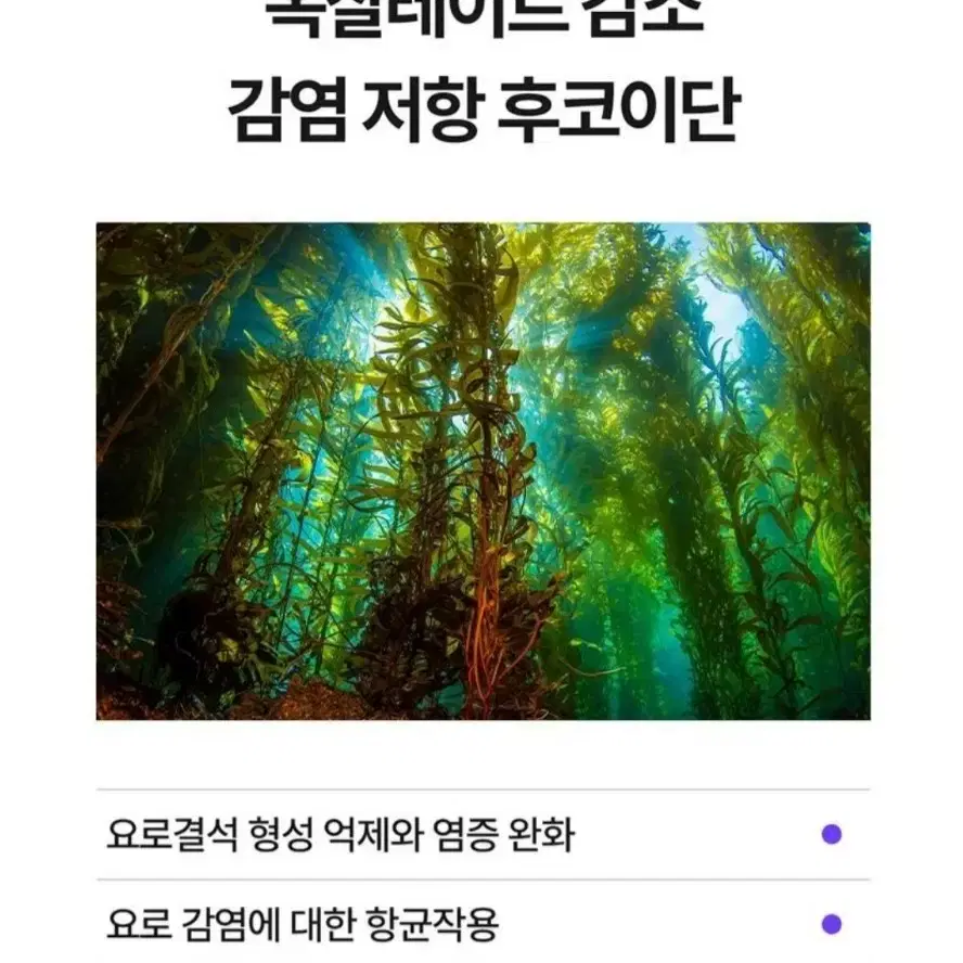 강아지 비뇨 배뇨 요로 신장 영양제