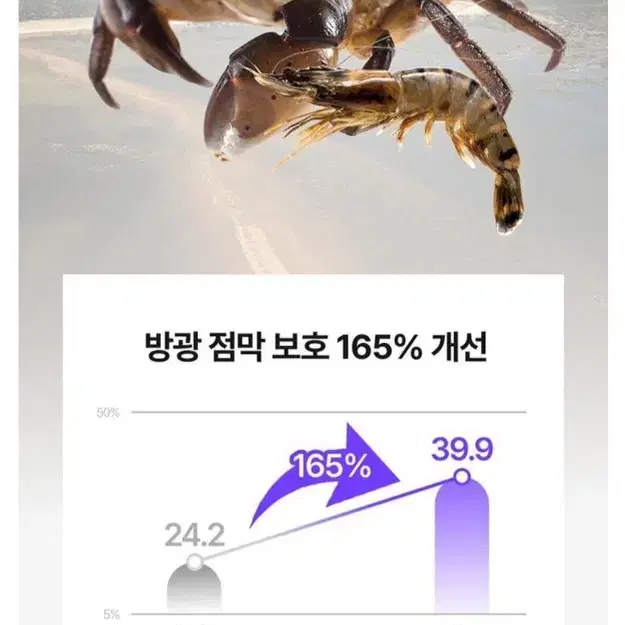 강아지 비뇨 배뇨 요로 신장 영양제