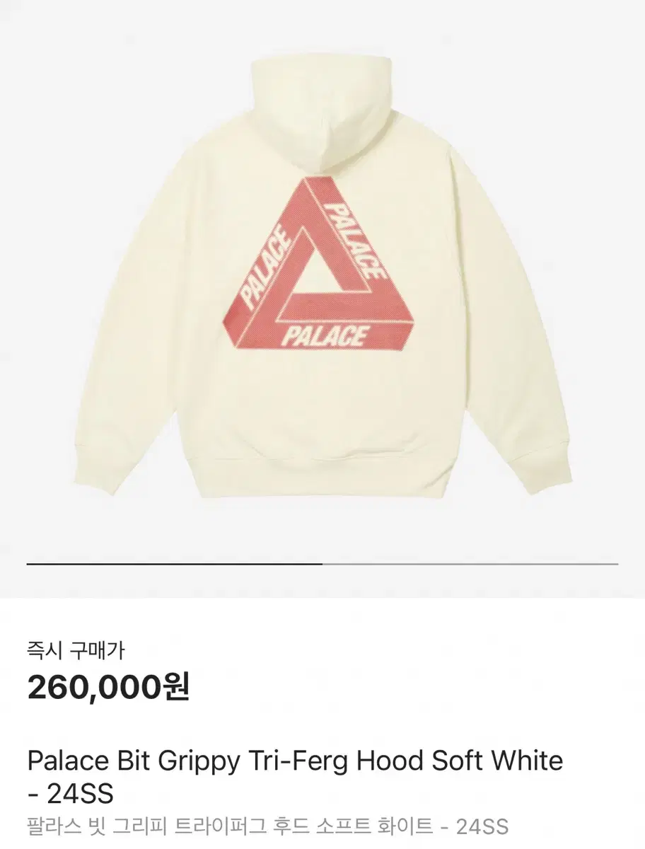 [L] 팔라스 후드티 24SS