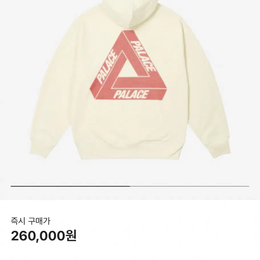 [L] 팔라스 후드티 24SS