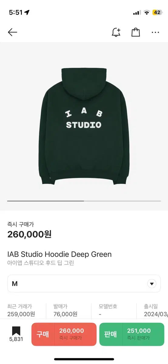 iappstudio hoodie green green