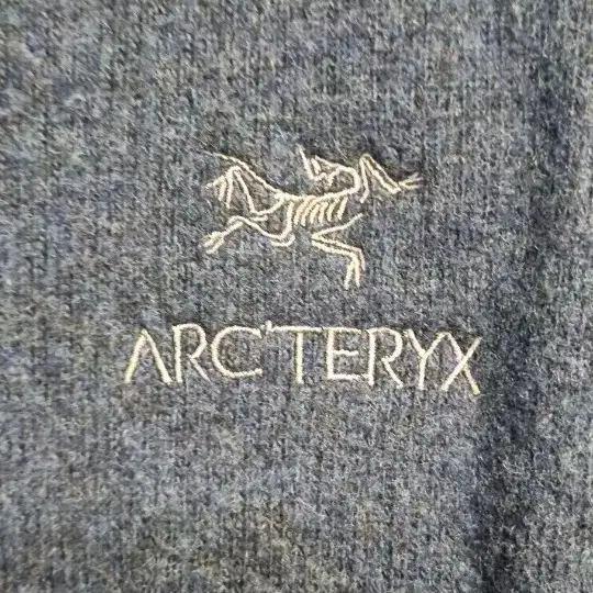 아크테릭스 ARCTERYX herren #34438 플리츠차켓