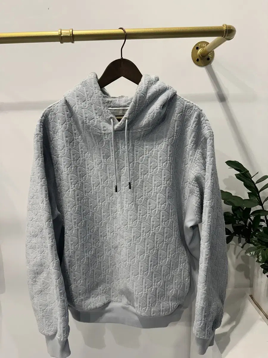 S-class) Dior Terry Hoodie