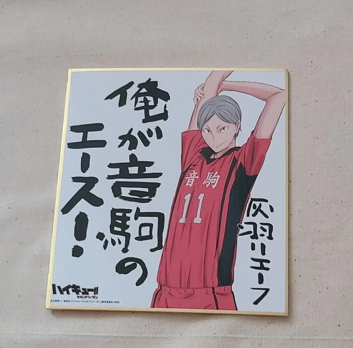 Haikyuu Haiba Lief Sack Paper