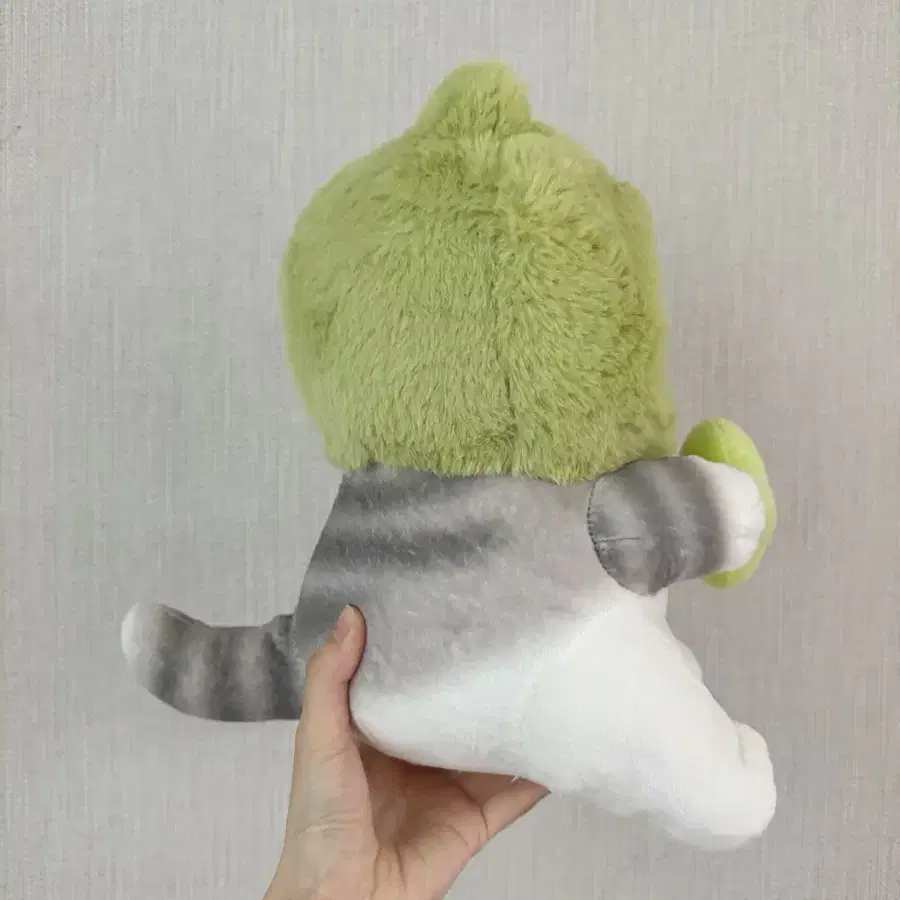 (당근에서 판매완료) 모프샌드 모후샌드 개구리냥 25CM