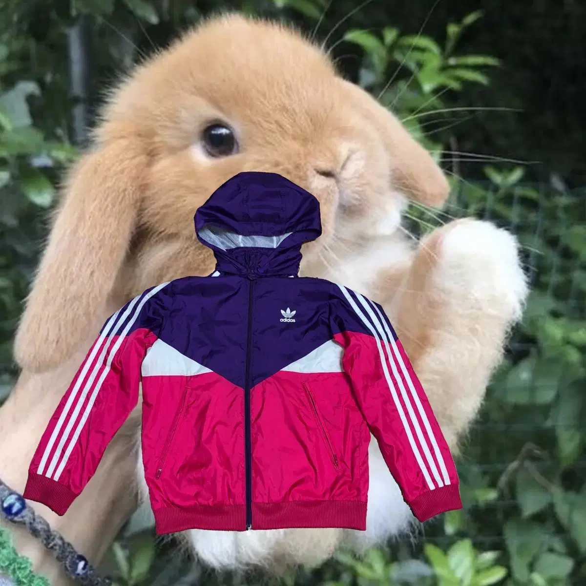 Vintage Adidas colorado windbreak