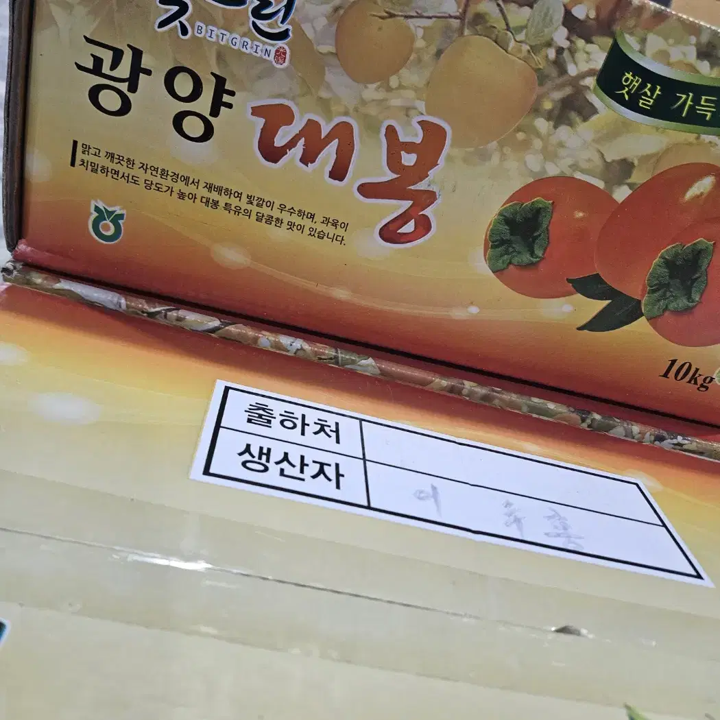 광양 대봉감 중과 10kg(41-52개)